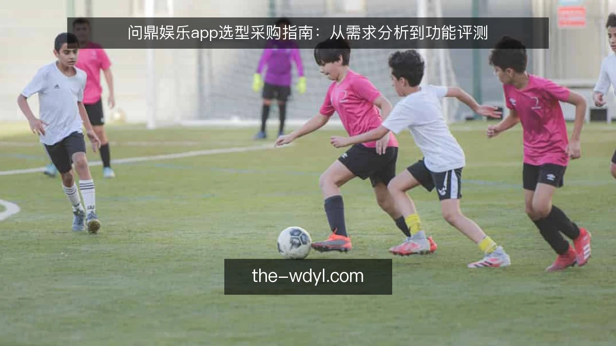 问鼎娱乐app选型采购指南:从需求分析到功能评测