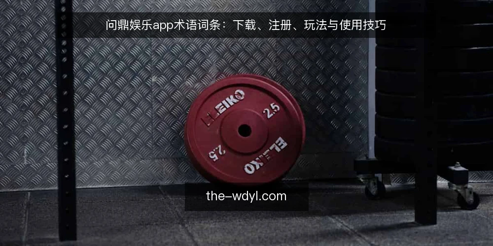 问鼎娱乐app术语词条:下载、注册、玩法与使用技巧 — 信号一:问鼎娱乐app下载渠道与版本术语 配图