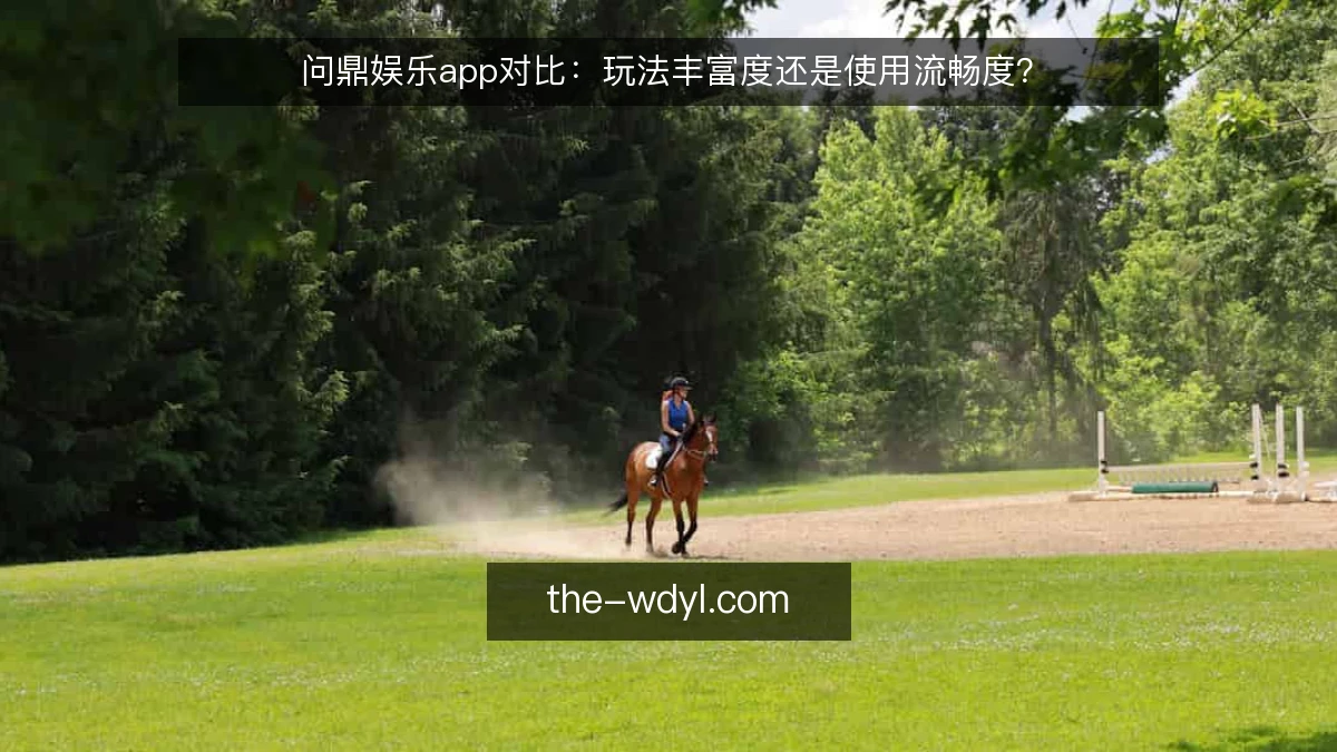 问鼎娱乐app对比：玩法丰富度还是使用流畅度？