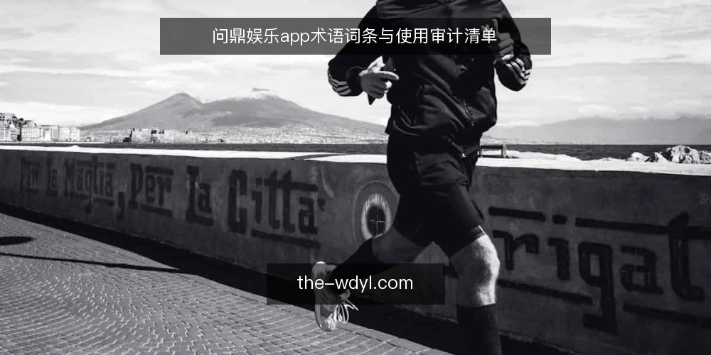 问鼎娱乐app术语词条与使用审计清单 — 为什么现在审计问鼎娱乐app 配图