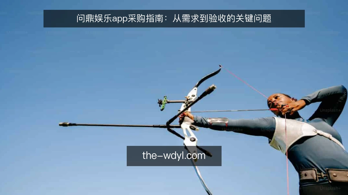 问鼎娱乐app采购指南：从需求到验收的关键问题