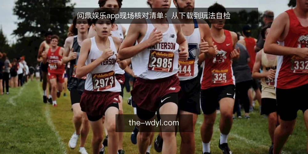 问鼎娱乐app现场核对清单:从下载到玩法自检 — 现场信号:哪些迹象值得立即核对 配图