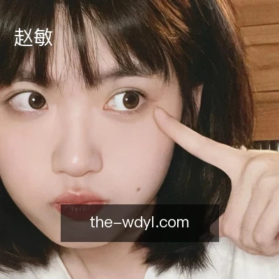 赵敏